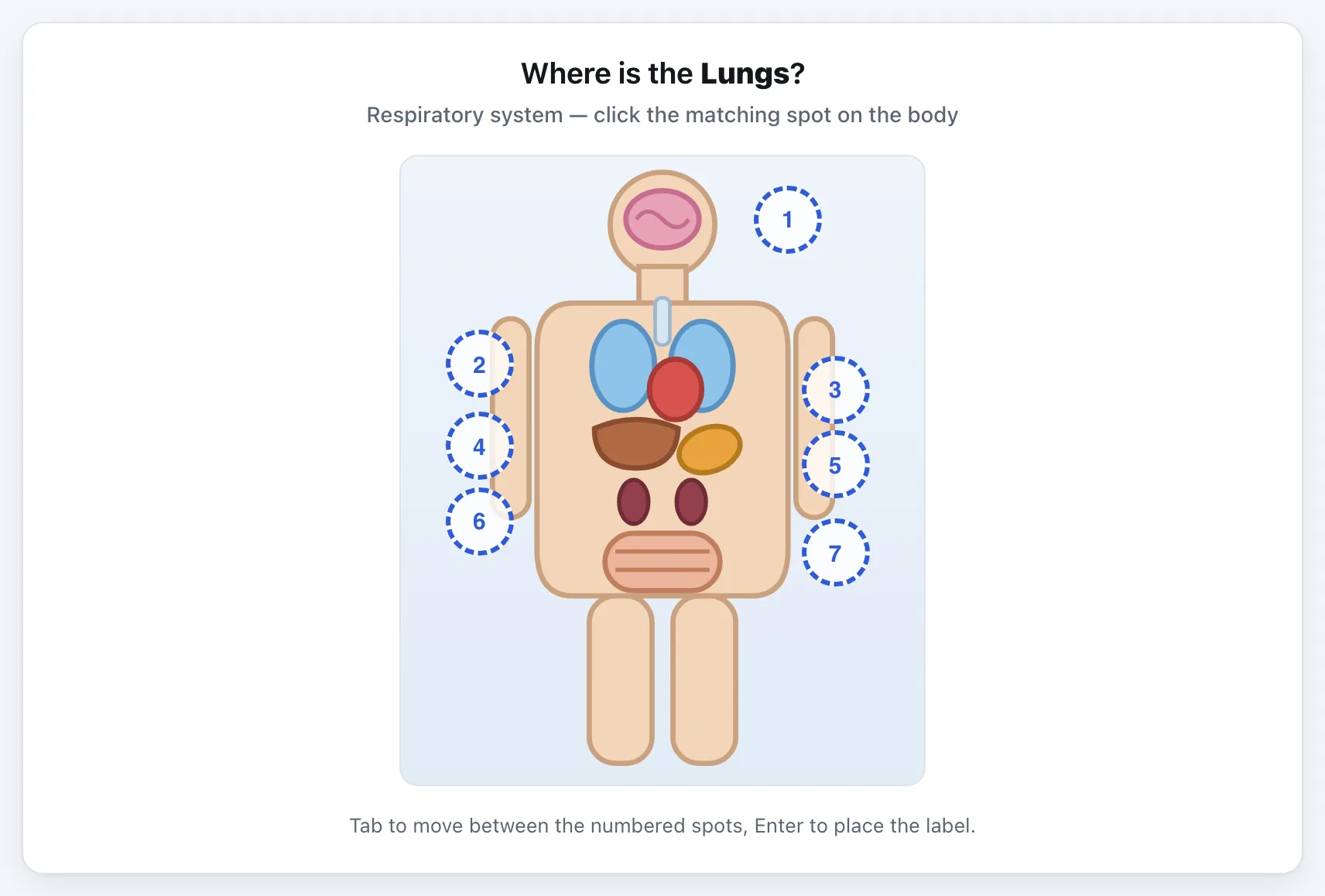 Label the Body Systems gameplay