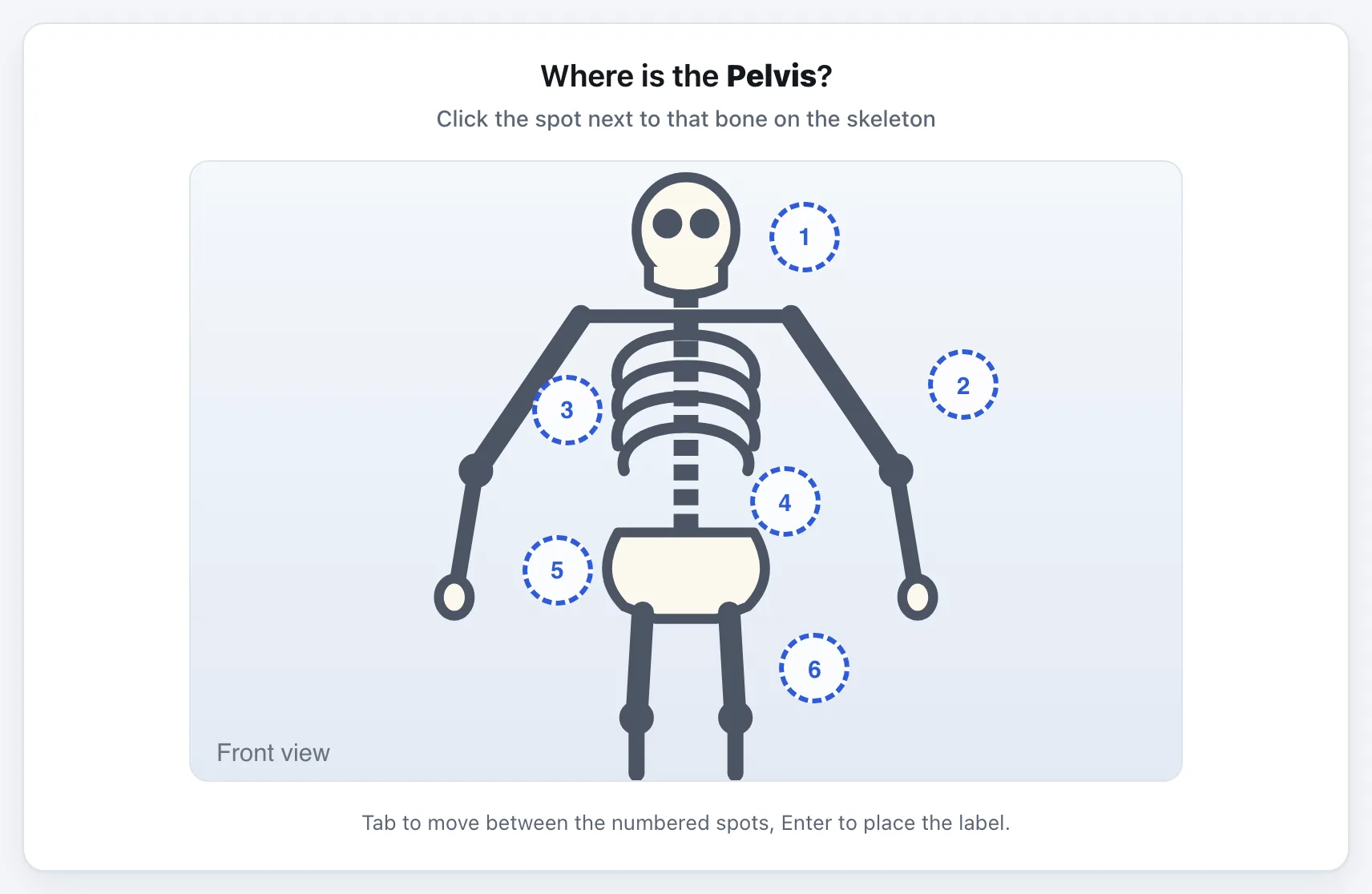 Label the Skeleton gameplay